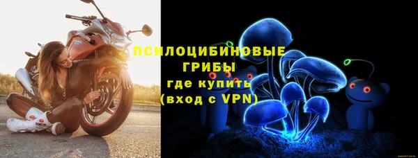 шишки Алзамай