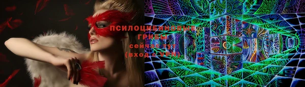 спайс Алексеевка